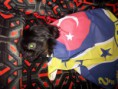 /album/resim-galerisi/a021-jpg/