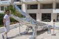 /album/resim-galerisi/a502243-920-jpg/